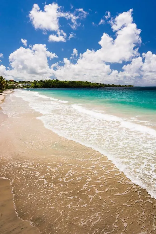 Residence Rock Bay Le Diamant Martinique